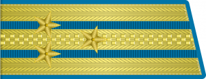 Полковник, ВВС СССР, 1955.png