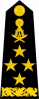 上将