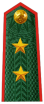 中将