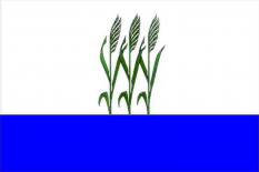 卡梅申市旗