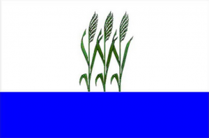 Flag of Kamyshin.png